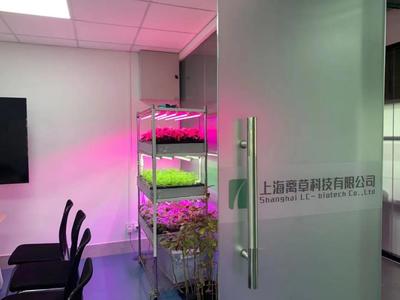 新聞中心的照明設(shè)備 科技與藝術(shù)的交融，打造專(zhuān)業(yè)傳播空間